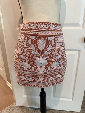 Beautiful Embroidered Mini Skirt